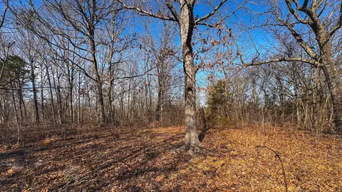 451 Moonshadow Rd, Marshfield, MO 65706 photo 32