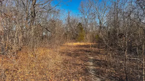 451 Moonshadow Rd, Marshfield, MO 65706 photo 27