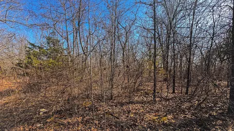 451 Moonshadow Rd, Marshfield, MO 65706 photo 33