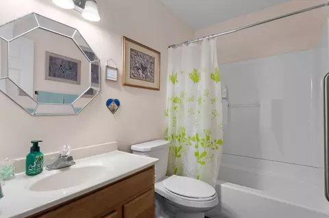 Bath - 180 Quail Run Rd, Branson, MO 65616 photo 3 of 3