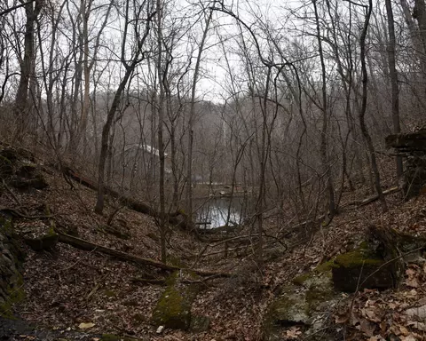 View/Area - 552 Mark Trl, Sparta, MO 65753 photo 3 of 5