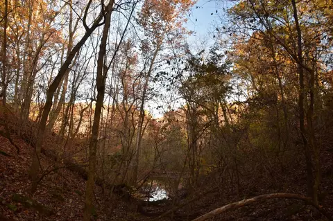 View/Area - 552 Mark Trl, Sparta, MO 65753 photo 4 of 5