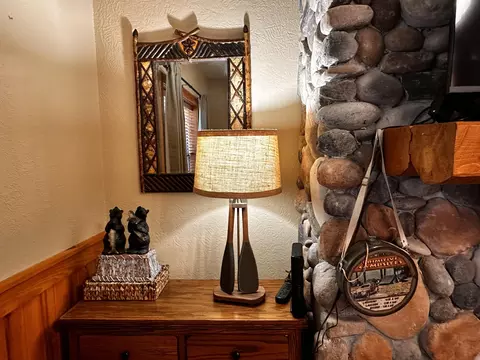 Other - 264 Oak Ridge Rd, Branson, MO 65616 photo 5 of 8