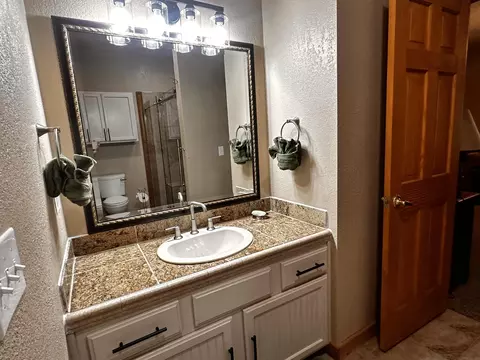 Bath - 264 Oak Ridge Rd, Branson, MO 65616 photo 4 of 6