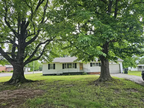 1115 S Carnation Dr, Aurora, MO 65605