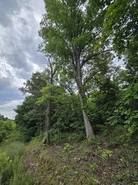 15039 Condor Dr, Seneca, MO 64865 photo 5