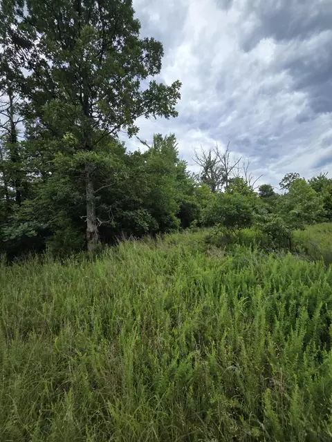 15039 Condor Dr, Seneca, MO 64865 photo 7