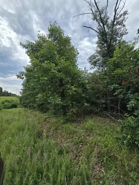 15039 Condor Dr, Seneca, MO 64865 photo 6