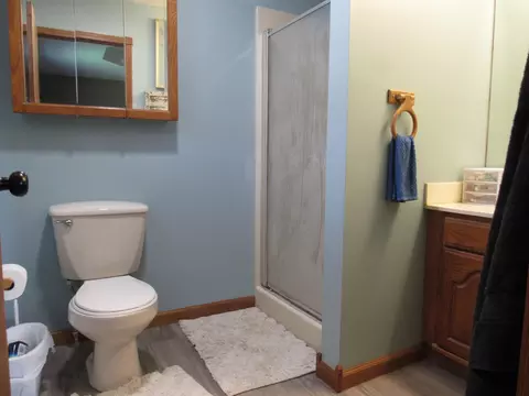 Bath - 547 N Dill St, Marshfield, MO 65706 photo 4 of 7