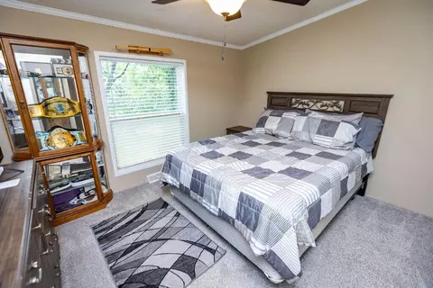 225 Redbud St, Branson, MO 65616 photo 26