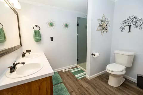 225 Redbud St, Branson, MO 65616 photo 22