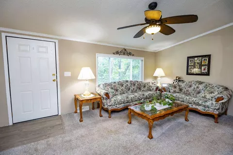 225 Redbud St, Branson, MO 65616 photo 18