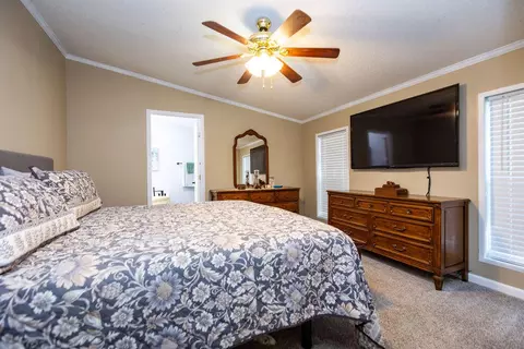 225 Redbud St, Branson, MO 65616 photo 19