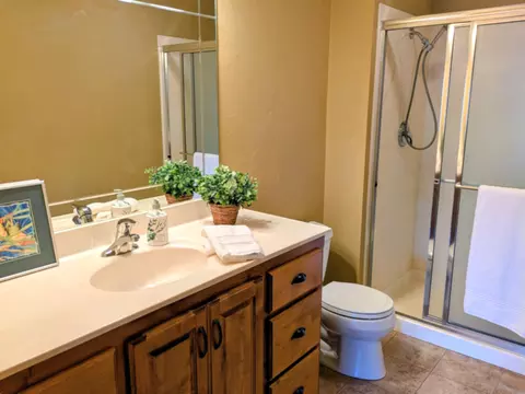 Bath - 8620 Interlochen Dr, Nixa, MO 65714 photo 13 of 14