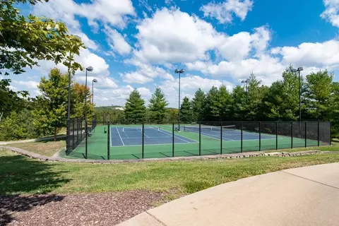 tbd Pebble Beach Dr #LOT 13, Branson, MO 65616 photo 4