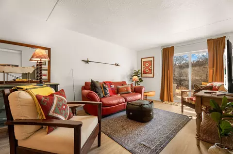 Living - 403 Veterans Blvd #E-380, Branson, MO 65616 photo 5 of 6