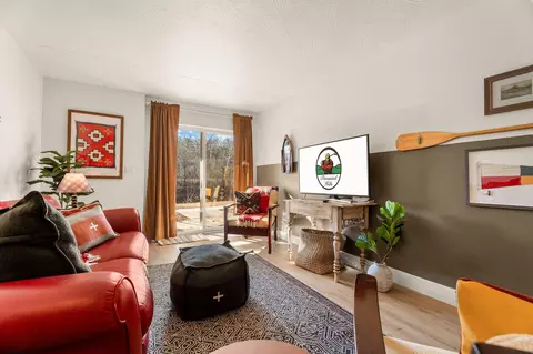 Living - 403 Veterans Blvd #E-380, Branson, MO 65616 photo 4 of 6