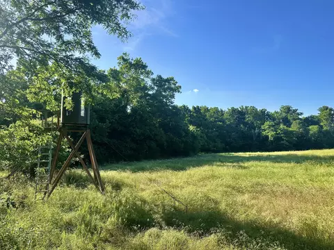 14188 County Road 195, Wheatland, MO 65779