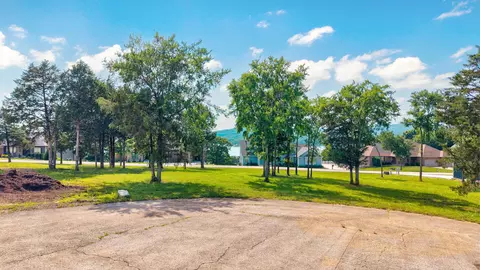 28 Toby Cir, Lampe, MO 65681 photo 5