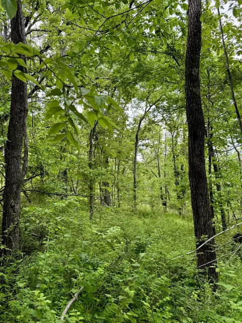 000 Hart Rd, Macomb, MO 65702 photo 5
