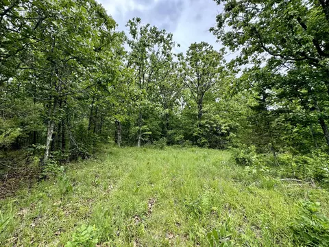 000 Hart Rd, Macomb, MO 65702 photo 16