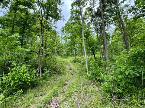 000 Hart Rd, Macomb, MO 65702 photo 19