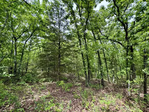 000 Hart Rd, Macomb, MO 65702 photo 15