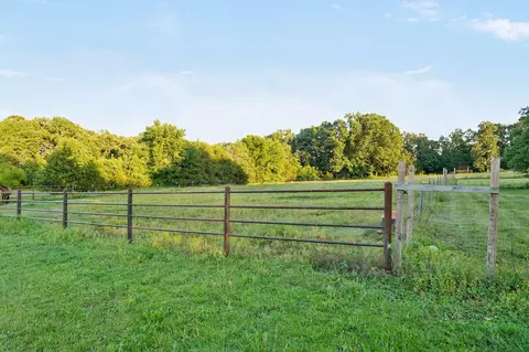 Other - 924 Plank School Rd, Marshfield, MO 65706 photo 15 of 17