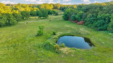View/Area - 924 Plank School Rd, Marshfield, MO 65706 photo 7 of 15