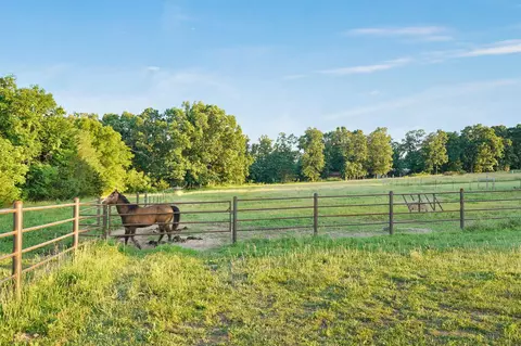 Other - 924 Plank School Rd, Marshfield, MO 65706 photo 14 of 17