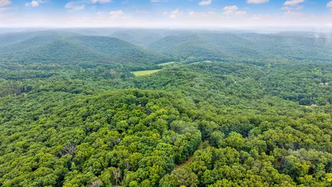 Other - 1908 Center Rd, Ozark, MO 65721 photo 14 of 37