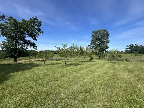 1032 County Road A-409, Ava, MO 65608 photo 61