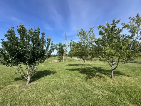 1032 County Road A-409, Ava, MO 65608 photo 59