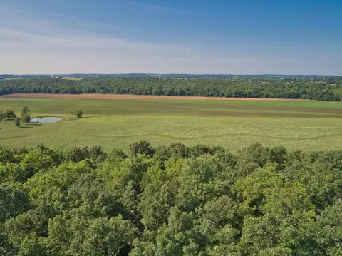 000 E 517th Rd, Halfway, MO 65663