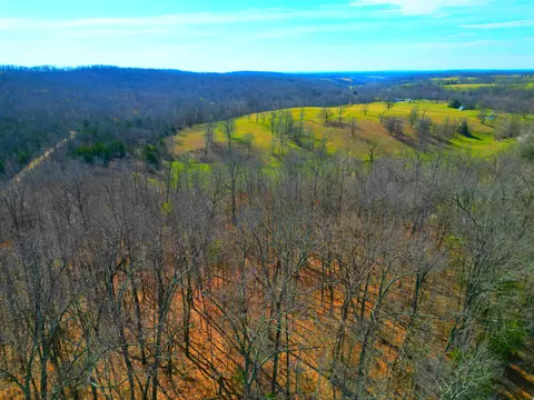 View/Area - 17529 St Highway U, Ava, MO 65608 photo 1 of 9