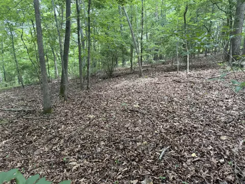 000 County Road 318 #LOT 5, Tecumseh, MO 65760 photo 7