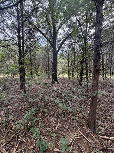 000 County Road 318 #LOT 5, Tecumseh, MO 65760 photo 20