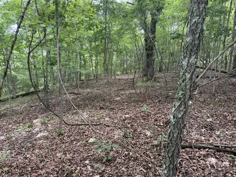 000 County Road 318 #LOT 5, Tecumseh, MO 65760 photo 6