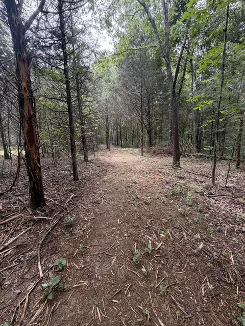 000 County Road 318 #LOT 5, Tecumseh, MO 65760 photo 21