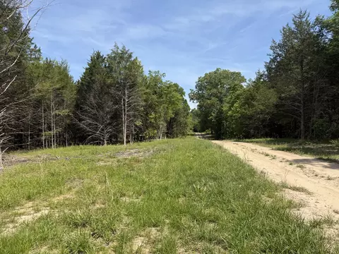 000 County Road 318 #LOT 5, Tecumseh, MO 65760 photo 24