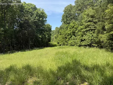 000 County Road 318 #LOT 5, Tecumseh, MO 65760 photo 2
