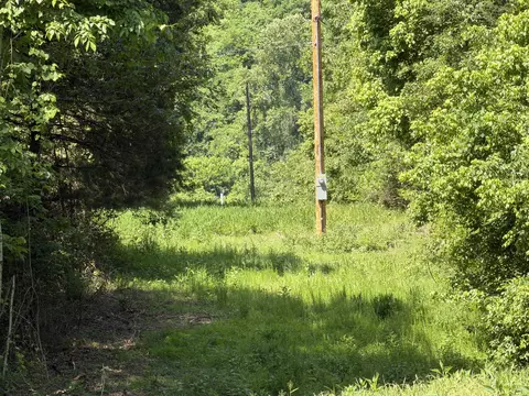 000 County Road 318 #LOT 5, Tecumseh, MO 65760 photo 12