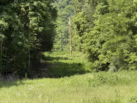 000 County Road 318 #LOT 5, Tecumseh, MO 65760 photo 16