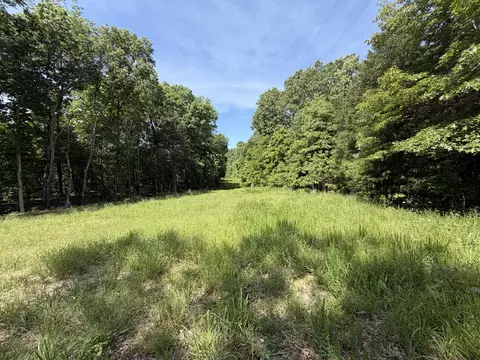 000 County Road 318 #LOT 5, Tecumseh, MO 65760 photo 32