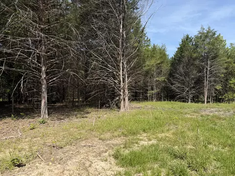 000 County Road 318 #LOT 5, Tecumseh, MO 65760 photo 23
