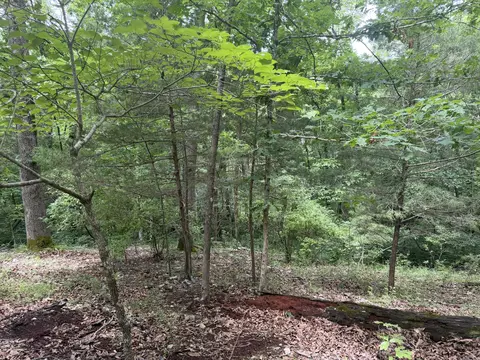 000 County Road 318 #LOT 5, Tecumseh, MO 65760 photo 9