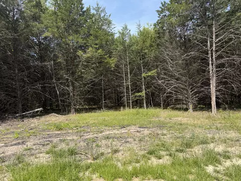 000 County Road 318 #LOT 5, Tecumseh, MO 65760 photo 27