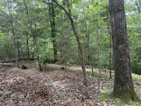 000 County Road 318 #LOT 5, Tecumseh, MO 65760 photo 19