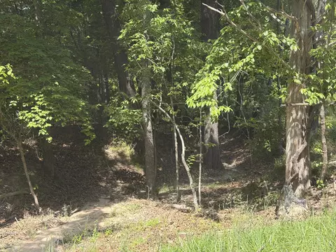 000 County Road 318 #LOT 5, Tecumseh, MO 65760 photo 34
