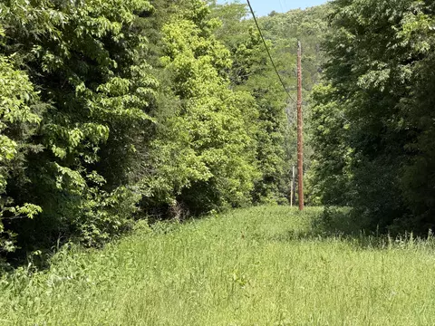 000 County Road 318 #LOT 5, Tecumseh, MO 65760 photo 25